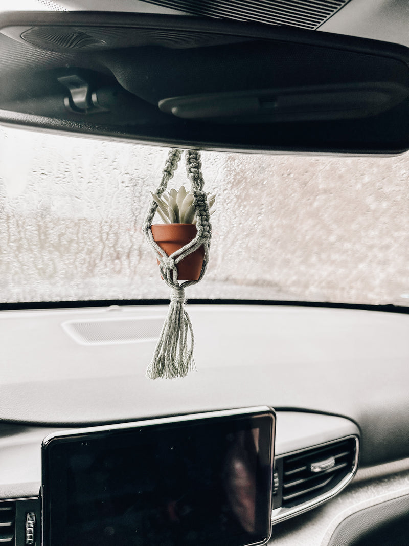 Hanging accessories for car